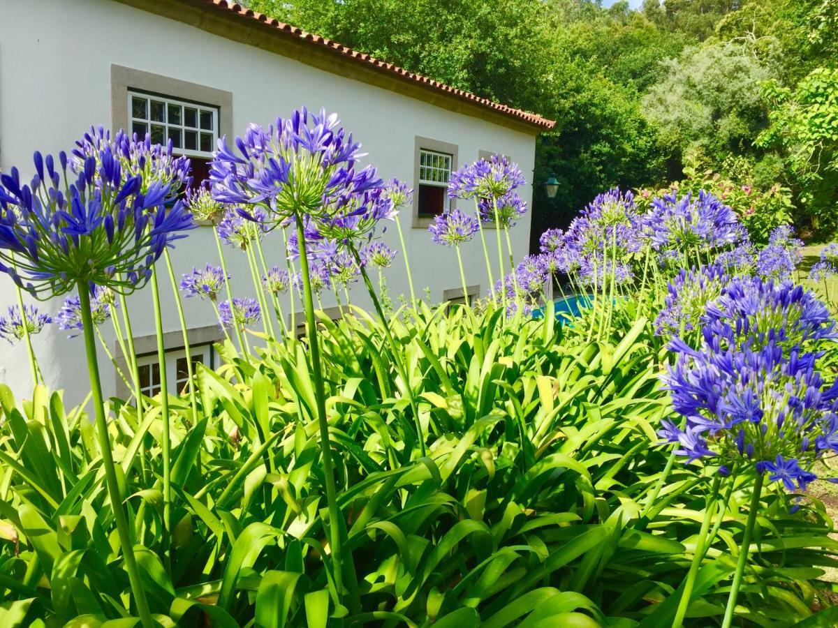 Quinta Santo Antonio Da Pedreira Guest House Facha Exterior foto